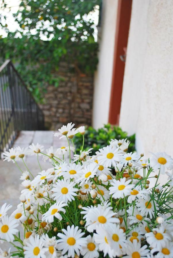 Villa "Pietra E Mare" Nafpaktos Exterior foto